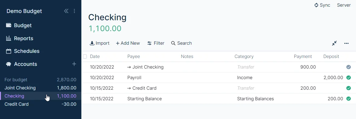 Screenshot of joint accounts in a personal Actual Budget file